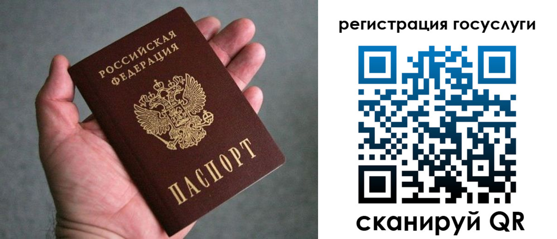 прописка поиск в Асино